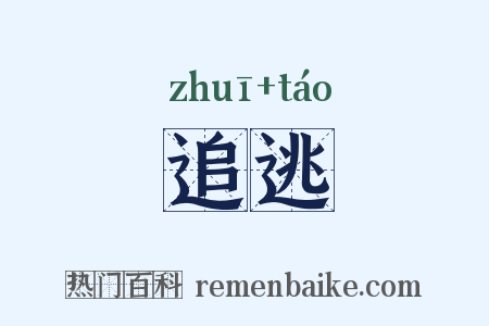 追逃是什么意思的图片